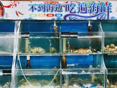 -东极岛海鲜