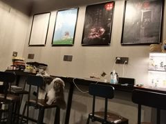 -Mr.Fox狐狸先生超级密室(南山店)