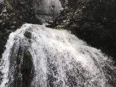 -藏龙百瀑风景区