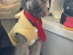 -seeu coffee(江滩店)