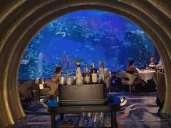 -迪拜帆船酒店海底餐厅