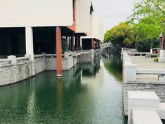 -溱湖国家湿地公园