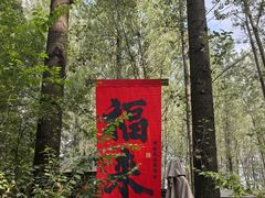 -林间山庄