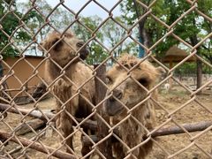 -武汉动物园