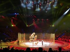 -珠海横琴长隆《卡卡虎奇遇记》