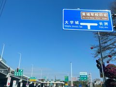 -长洲岛
