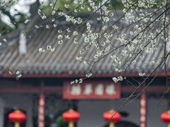 -成都市文化公园