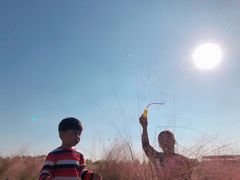 -映月湖中央公园