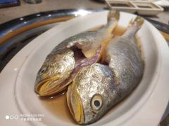 -四海蒸鲜蒸汽海鲜自助(北戴河店)