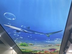 -日照大牌檔•小船海鲜(万平口店)