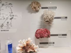 -四川大学博物馆