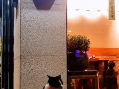 -囿面传统制面馆(中央路店)