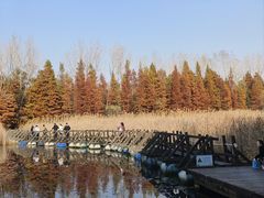 -溱湖国家湿地公园