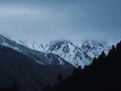 -大冬树山垭口