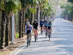 -上海海湾国家森林公园