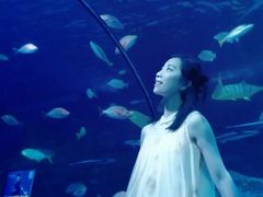 -太平洋海底世界