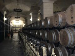 -北京张裕爱斐堡酒庄