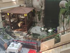 -聚春园自助餐厅(东街口店)