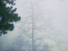 -敬亭山风景名胜区