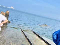 -烟台海昌鲸鲨海洋公园