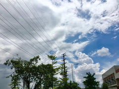 -立新湖公园