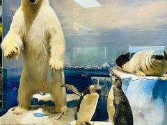 -国家自然博物馆