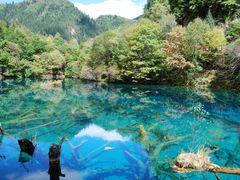 -千岛湖东南湖区