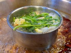 -金鼎雪山牦牛杂火锅(理县总店)