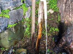 -阳台山自然风景区