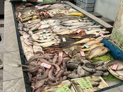-魚當家