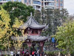 -四海公园(南山区)