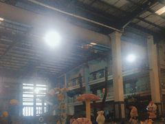 -南宫温泉水世界