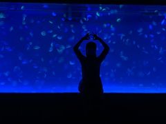 -多彩贵州城极地海洋世界