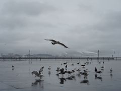 -东港音乐喷泉广场