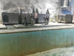 -北戴河圣蓝海洋公园