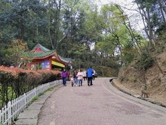 -黔灵山公园