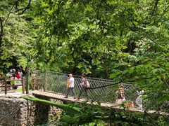 -西岭雪山大飞水景区