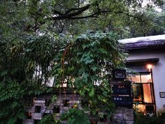 -凤凰御元艺术基地