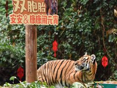 -广州长隆野生动物世界