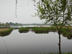 -野鸭湖国家湿地公园