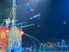 -广州长隆国际大马戏