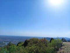 -府君山公园