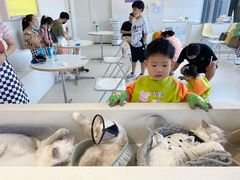 -怪兽屋·羊驼·猫咖·狗咖(俊华广场店)