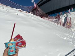 -沈阳奥体冰雪嘉年华