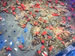 -澜悦港海鲜体验主题餐厅