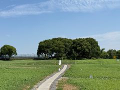 -苏州湾体育公园