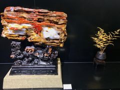 奇石-龙岗区科技馆