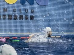 -龙格亲子游泳·水育早教运动中心(绿宝中心)