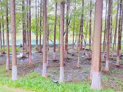 -金陵矩阵(聚宝山公园店)