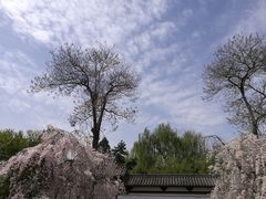 -西安青龙寺遗址景区